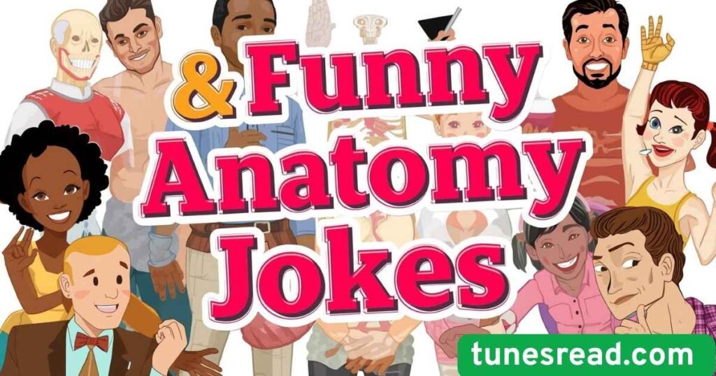 & Funny Anatomy Jokes
